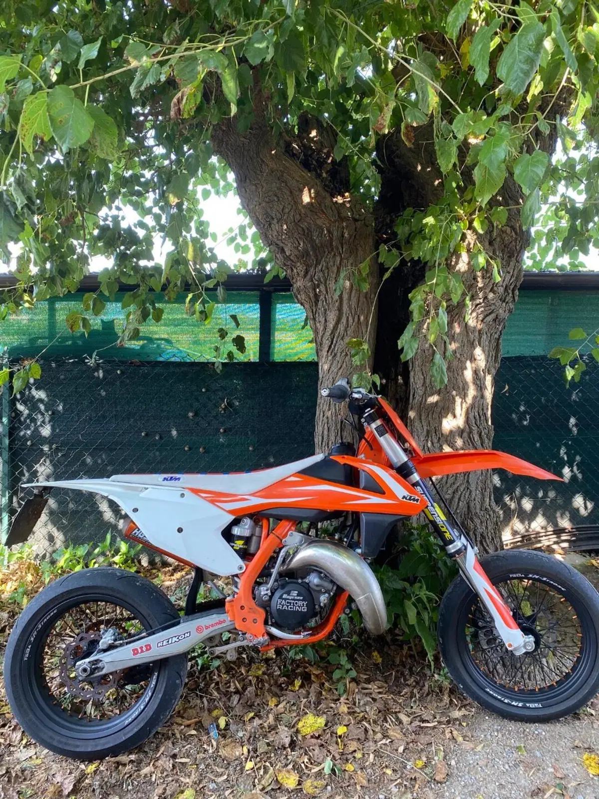 KTM 125 SX (2023) (4)
