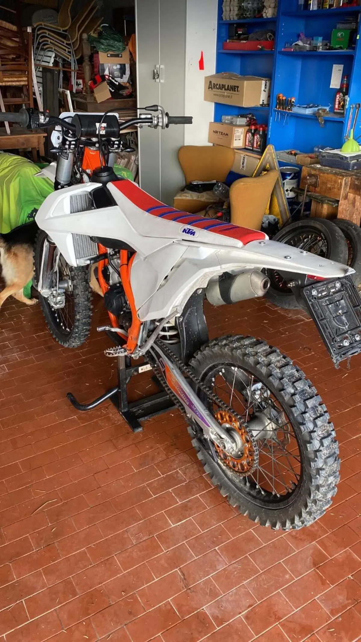 KTM 125 SX (2023) (8)