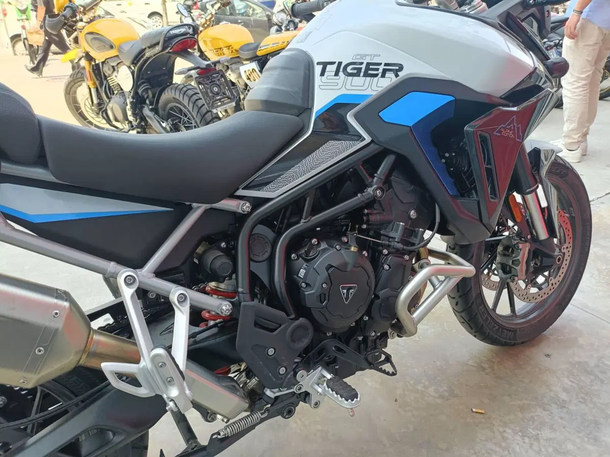 Triumph Tiger 900 Alpine Special Edition (2026)
