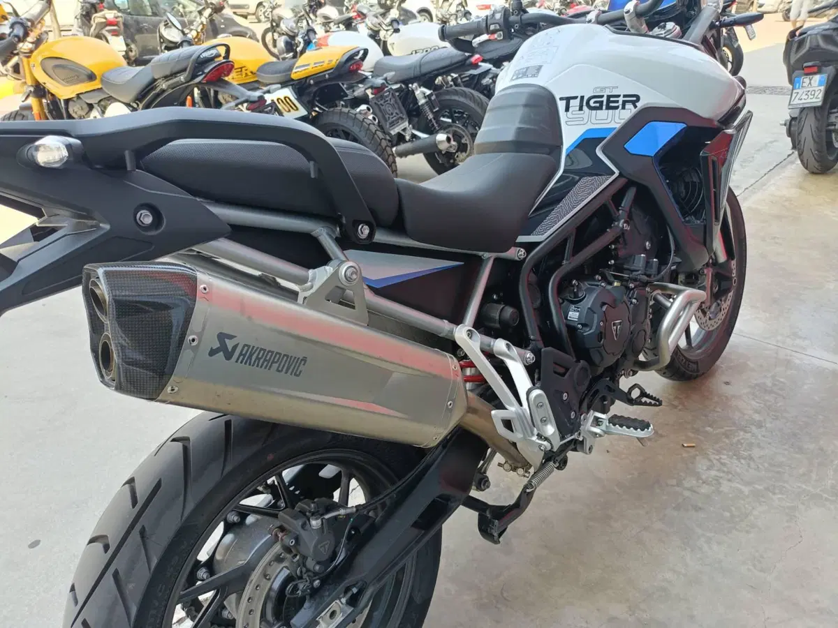 Triumph Tiger 900 Alpine Special Edition (2026) (5)