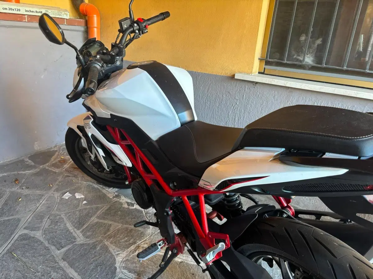 Benelli BN 125 (2021 - 25) (3)
