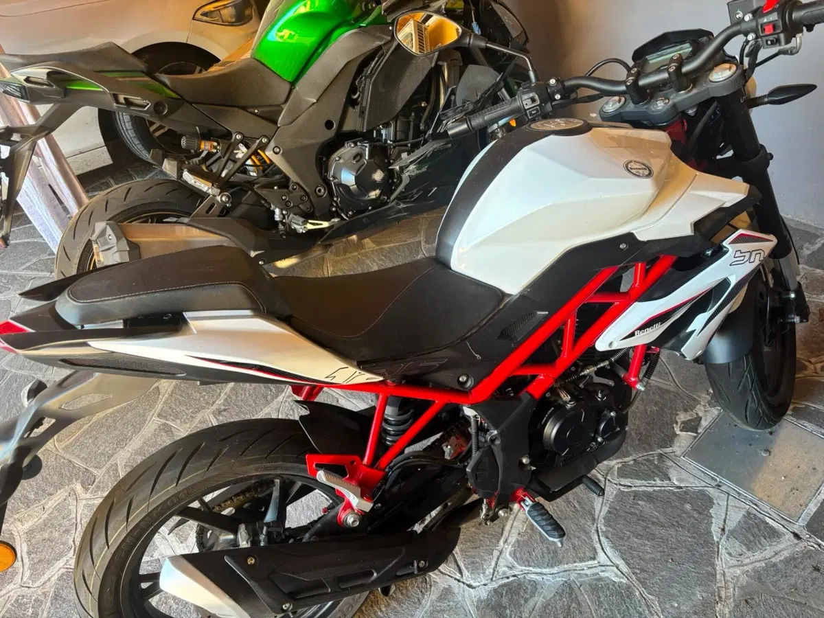 Benelli BN 125 (2021 - 25) (6)