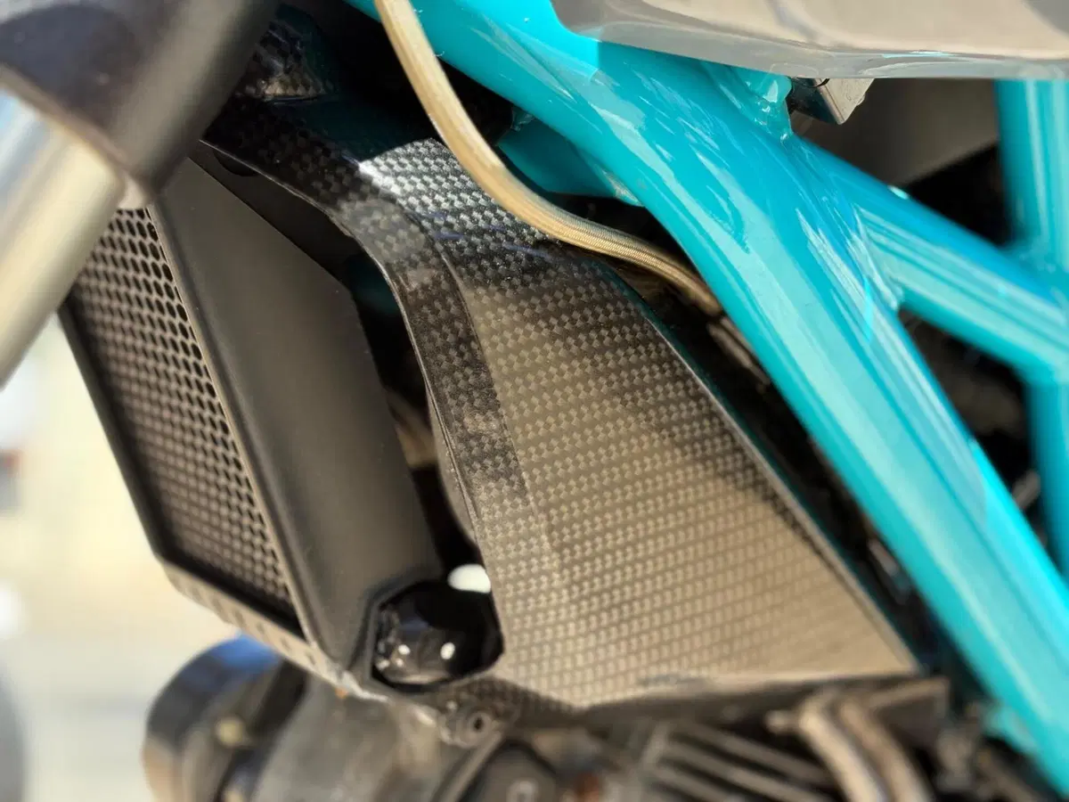 Ducati Monster 796 ABS (2010 - 14) (11)