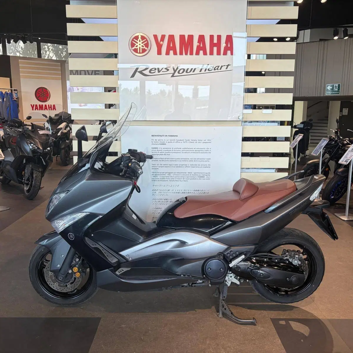 Yamaha T-Max 500 (2008 - 12) (8)