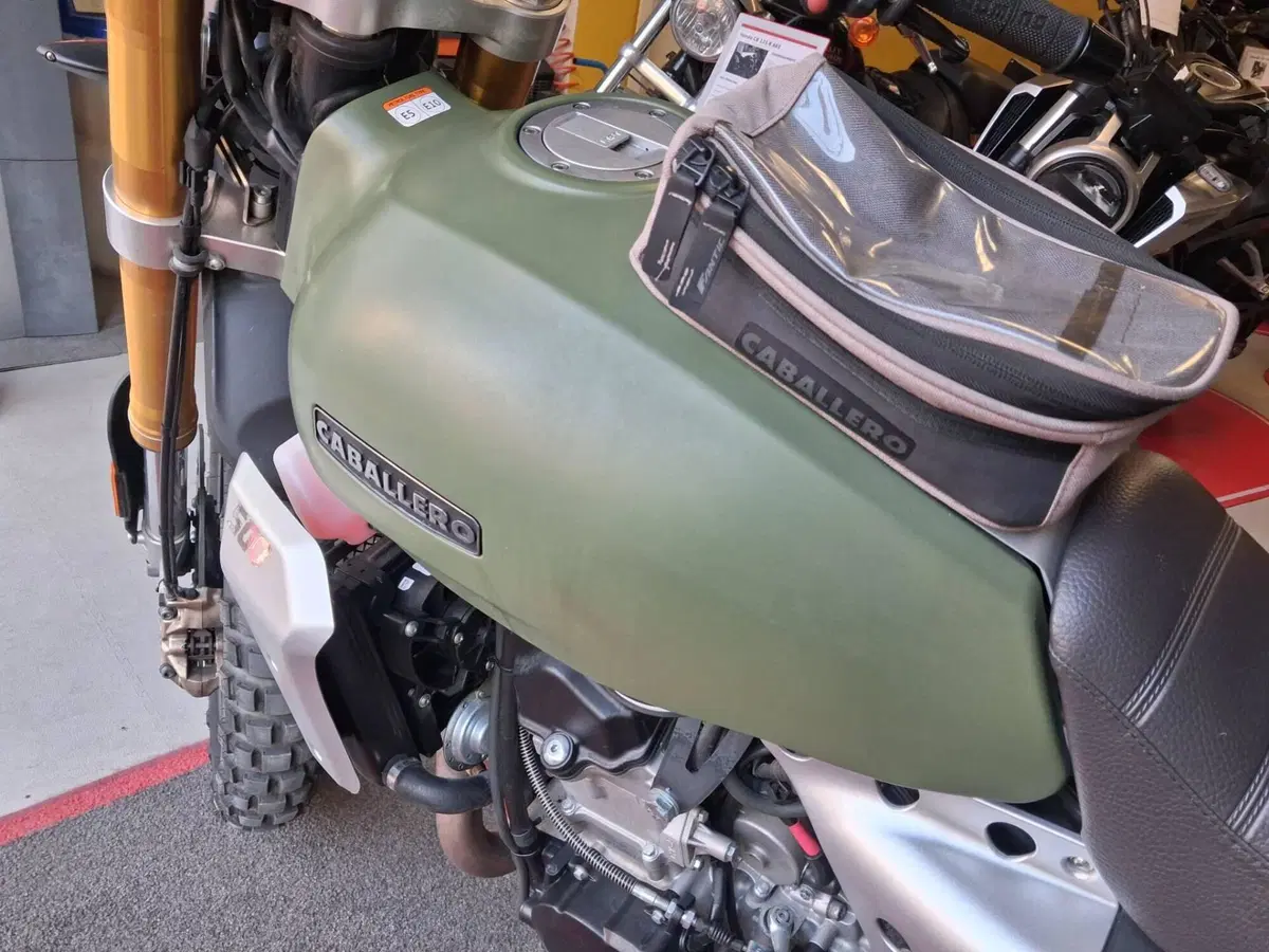 Fantic Motor Caballero 500 Rally (2021 - 23) (5)