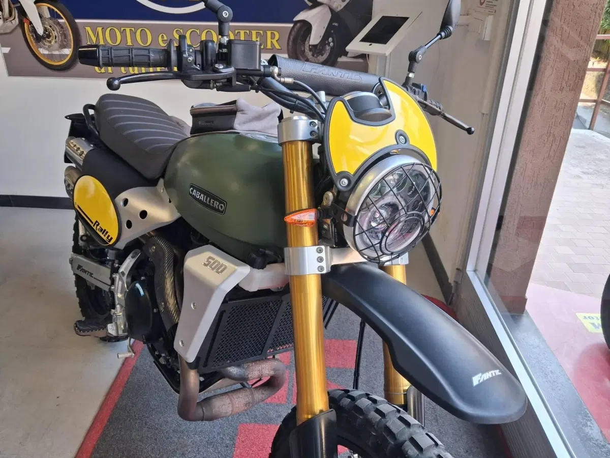 Fantic Motor Caballero 500 Rally (2021 - 23) (7)