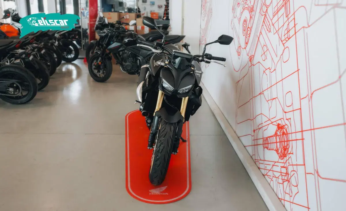 Honda CB 1000 Hornet SP (2025 - 26) (3)