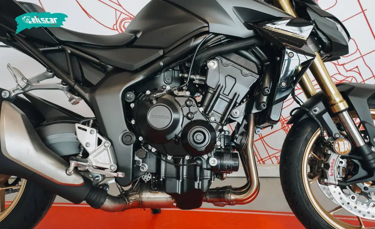 Honda CB 1000 Hornet SP (2025 - 26) (8)