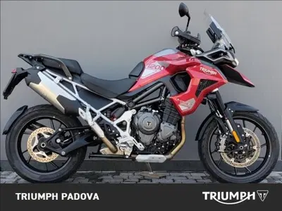 Triumph Tiger 1200 GT Pro (2024 - 26) usata