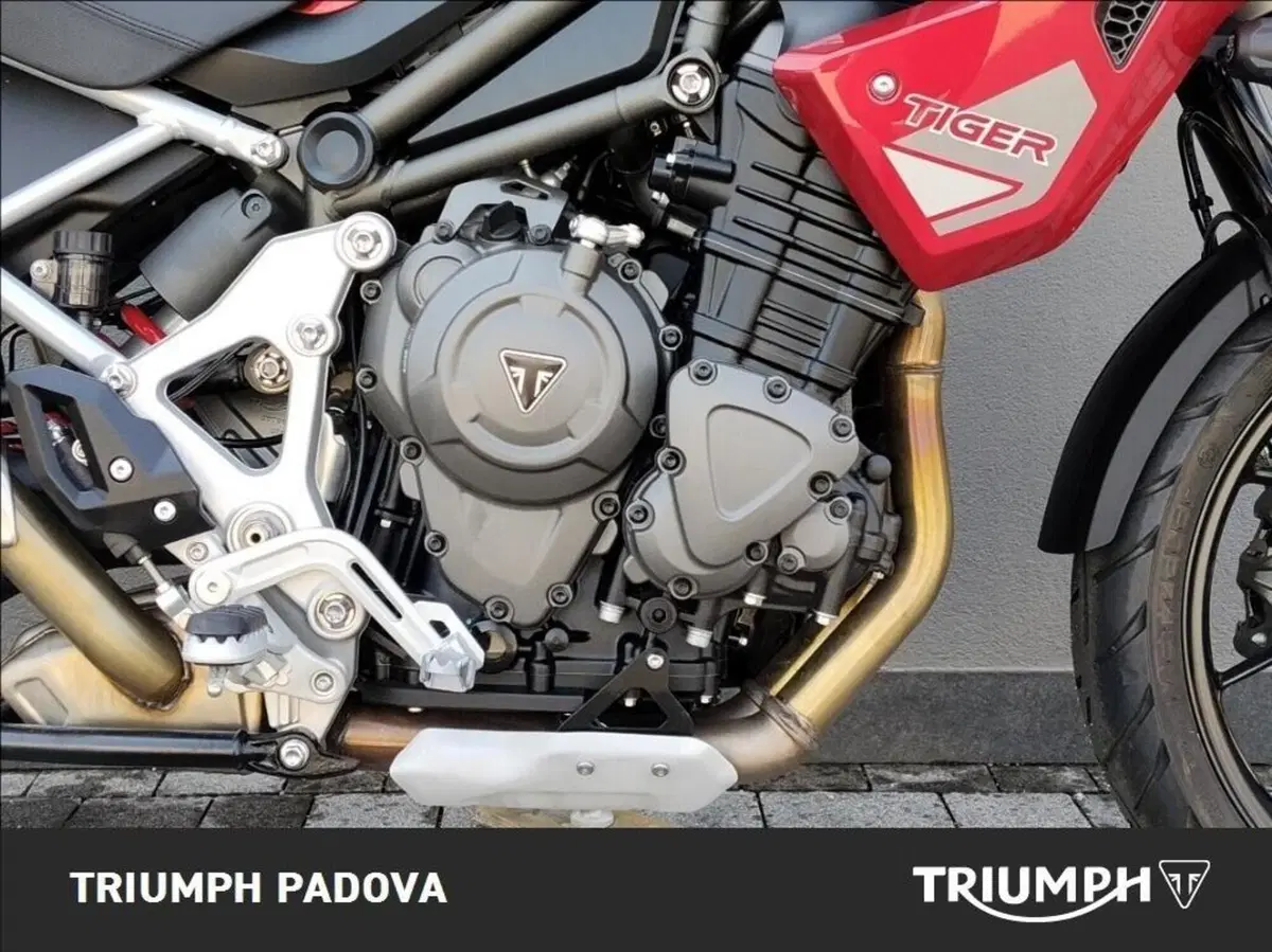 Triumph Tiger 1200 GT Pro (2024 - 26) (3)