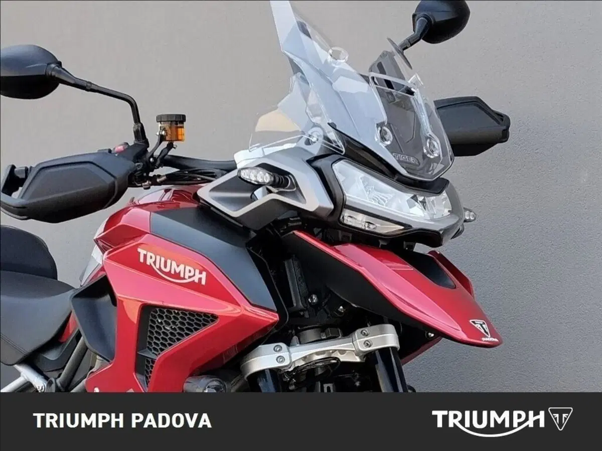 Triumph Tiger 1200 GT Pro (2024 - 26) (5)
