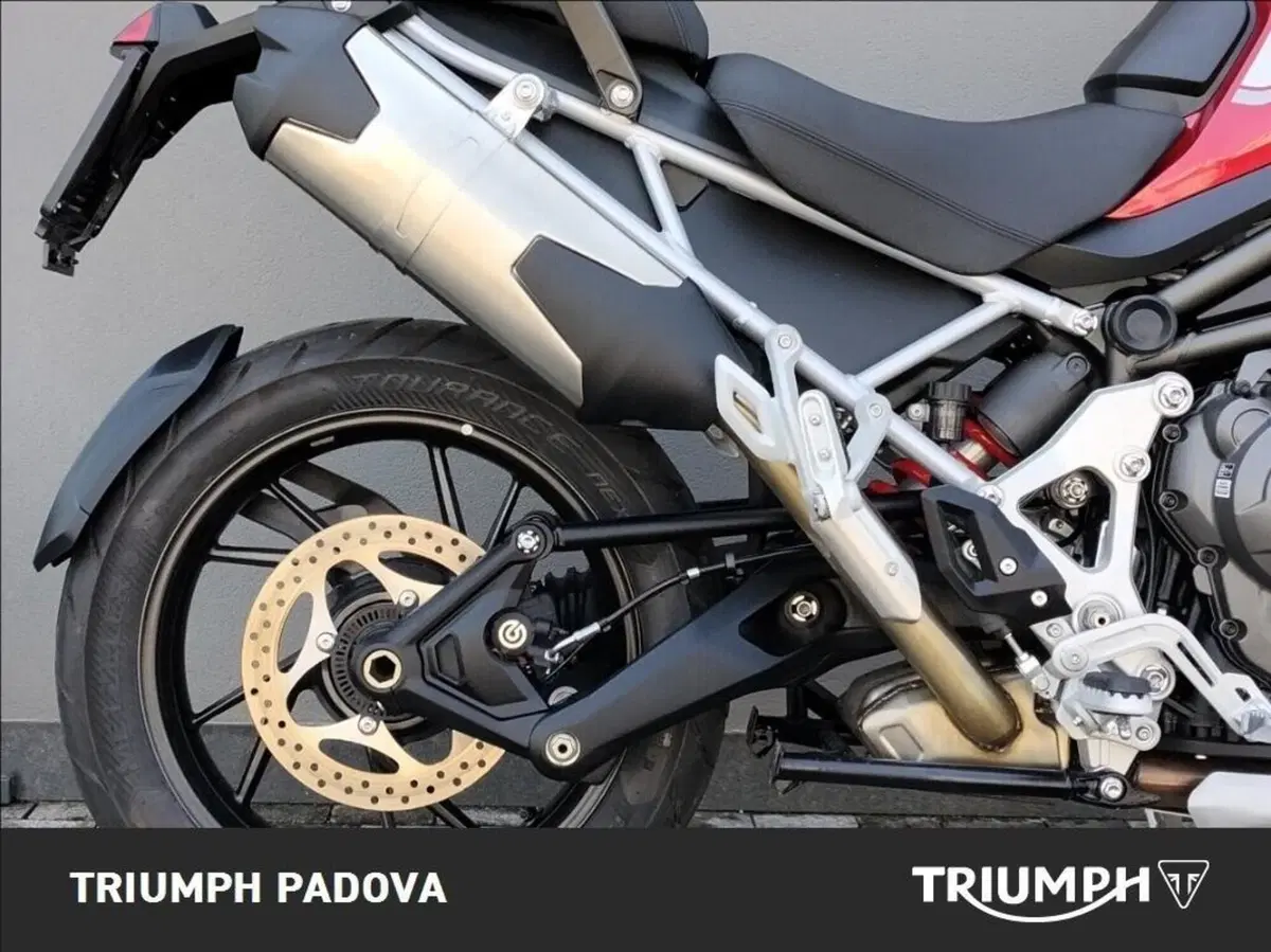 Triumph Tiger 1200 GT Pro (2024 - 26) (2)