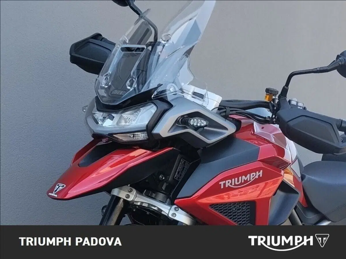 Triumph Tiger 1200 GT Pro (2024 - 26) (10)