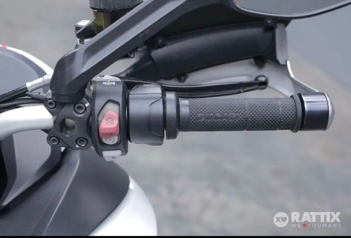 Ducati Multistrada 1200 S (2015 - 17) (9)