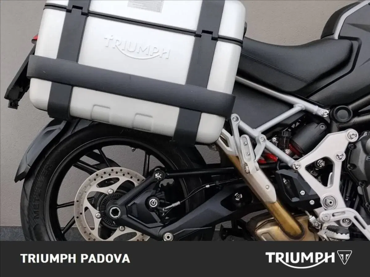 Triumph Tiger 1200 GT Explorer (2022 - 23) (3)