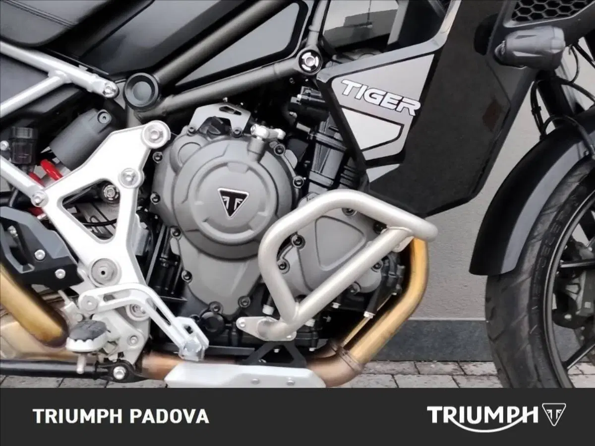 Triumph Tiger 1200 GT Explorer (2022 - 23) (5)