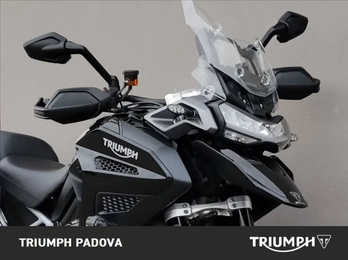 Triumph Tiger 1200 GT Explorer (2022 - 23) (9)