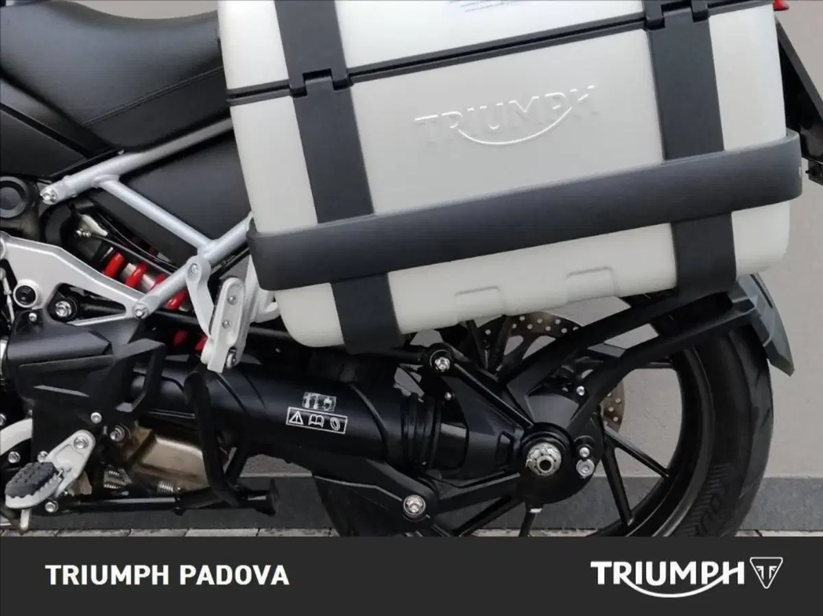 Triumph Tiger 1200 GT Explorer (2022 - 23) (13)