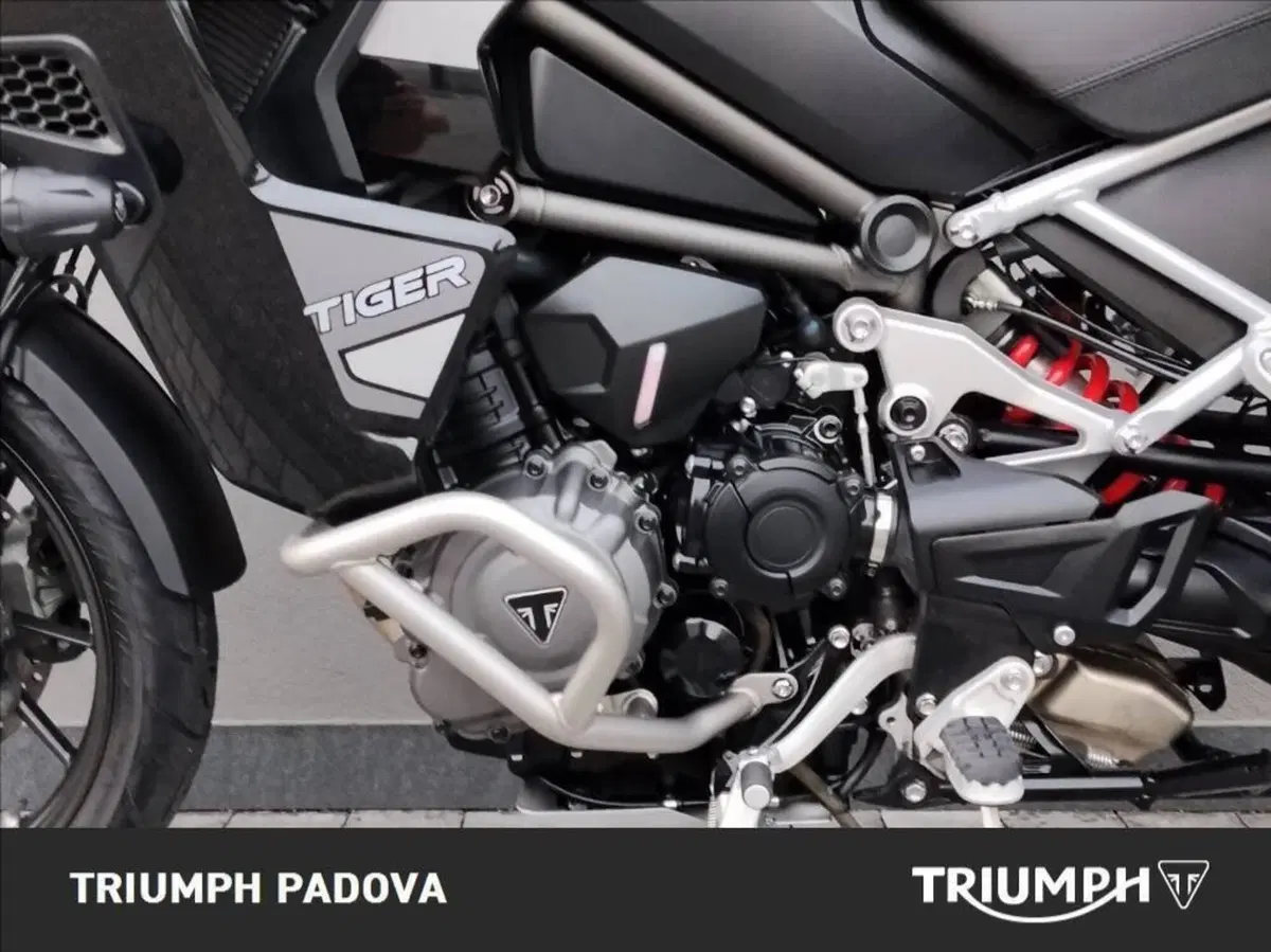 Triumph Tiger 1200 GT Explorer (2022 - 23) (15)