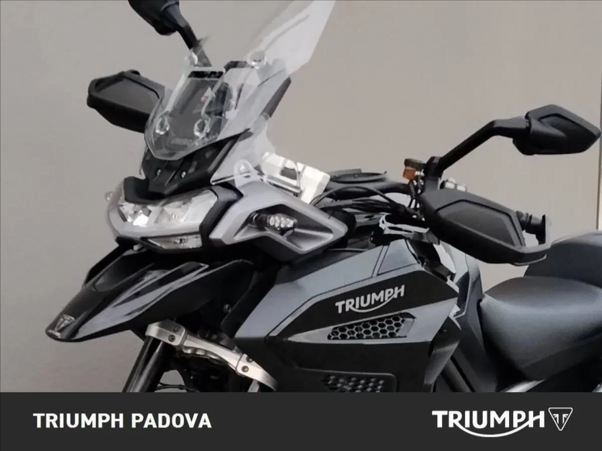 Triumph Tiger 1200 GT Explorer (2022 - 23) (19)
