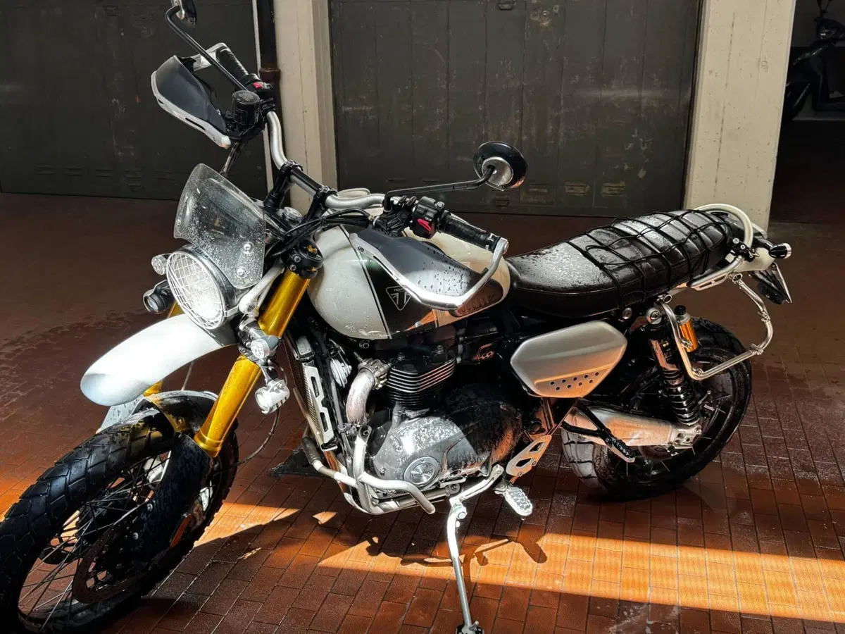 Triumph Scrambler 1200 XE (2019 - 20)