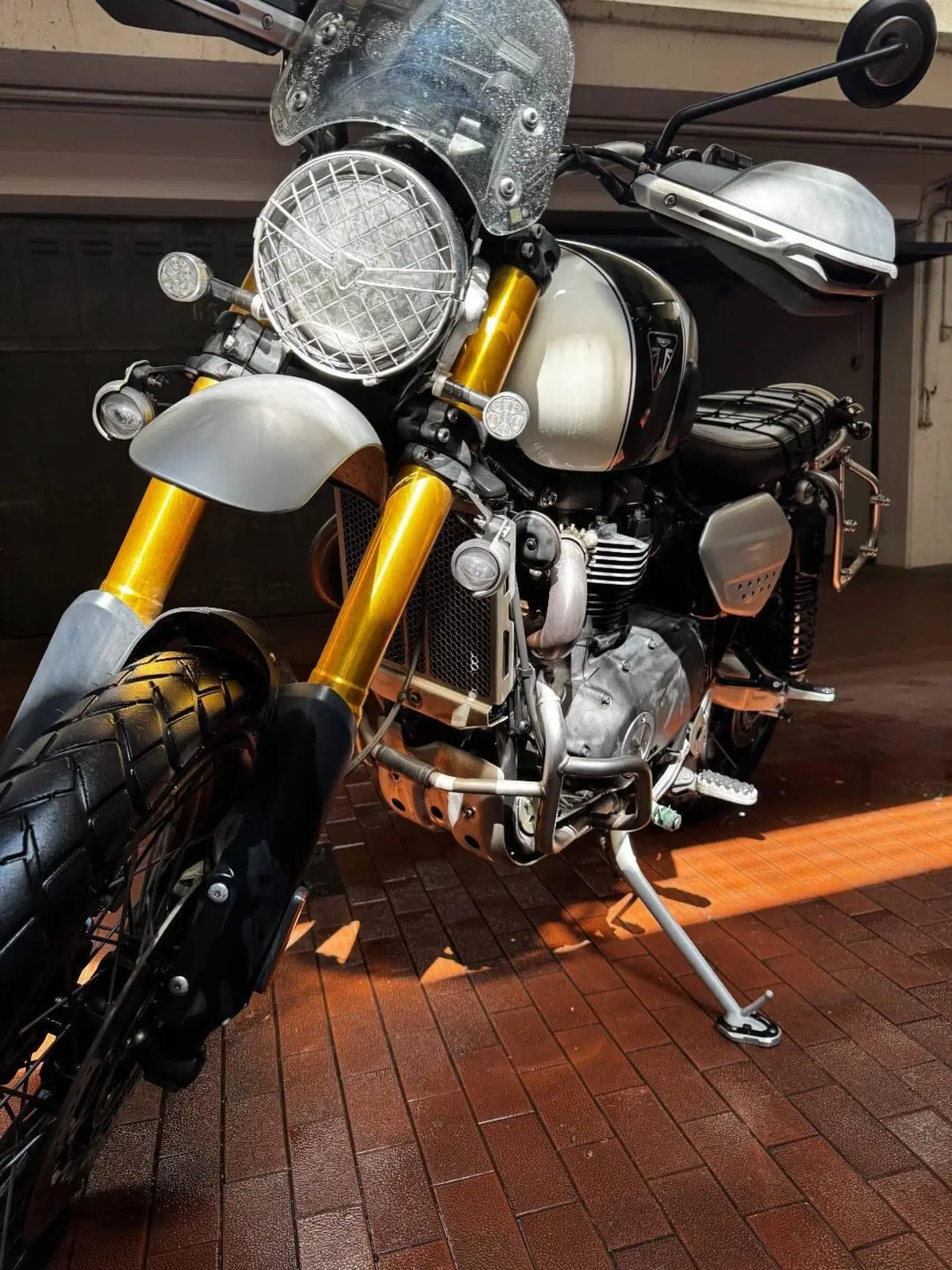 Triumph Scrambler 1200 XE (2019 - 20) (3)