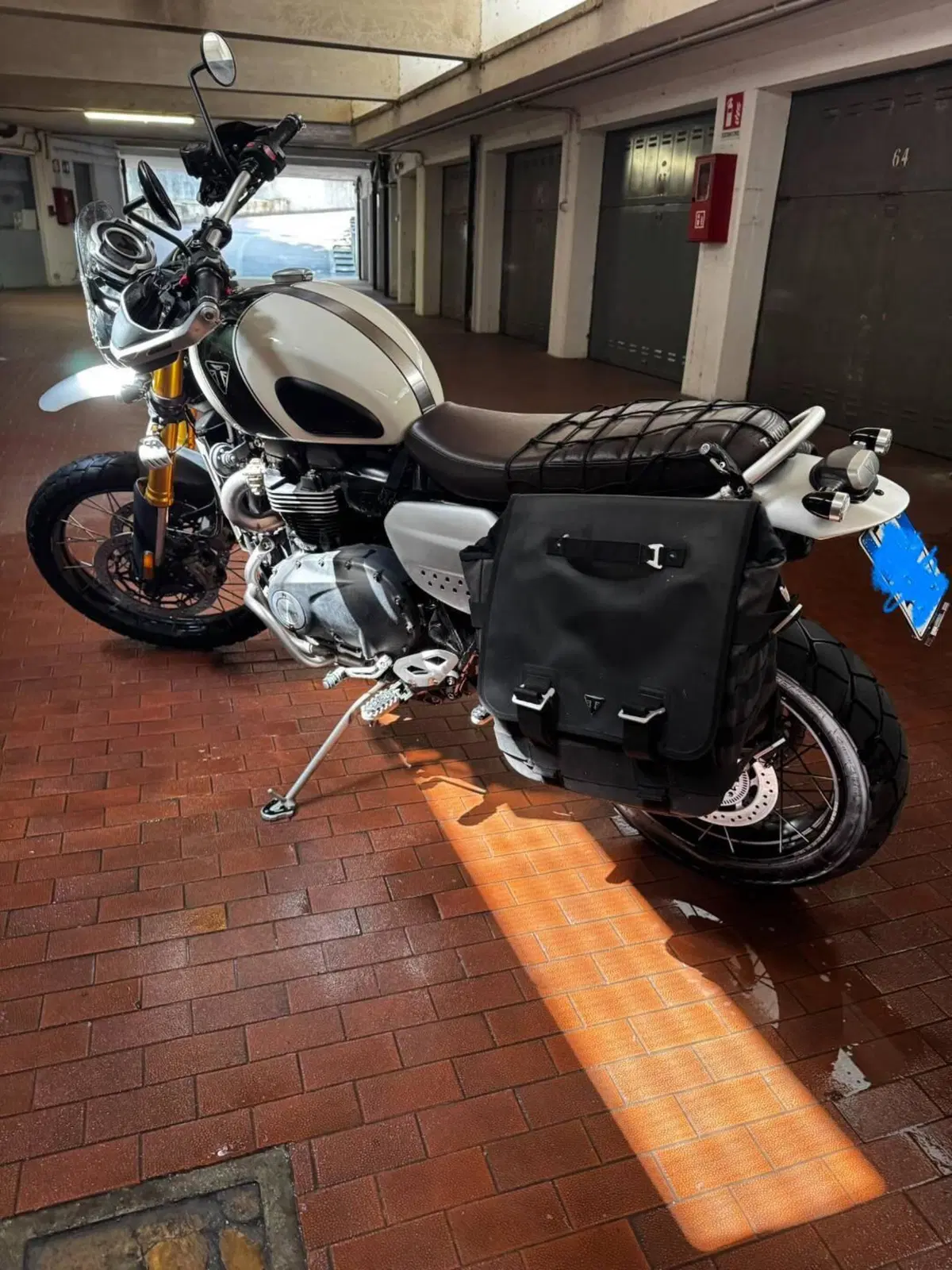 Triumph Scrambler 1200 XE (2019 - 20) (17)