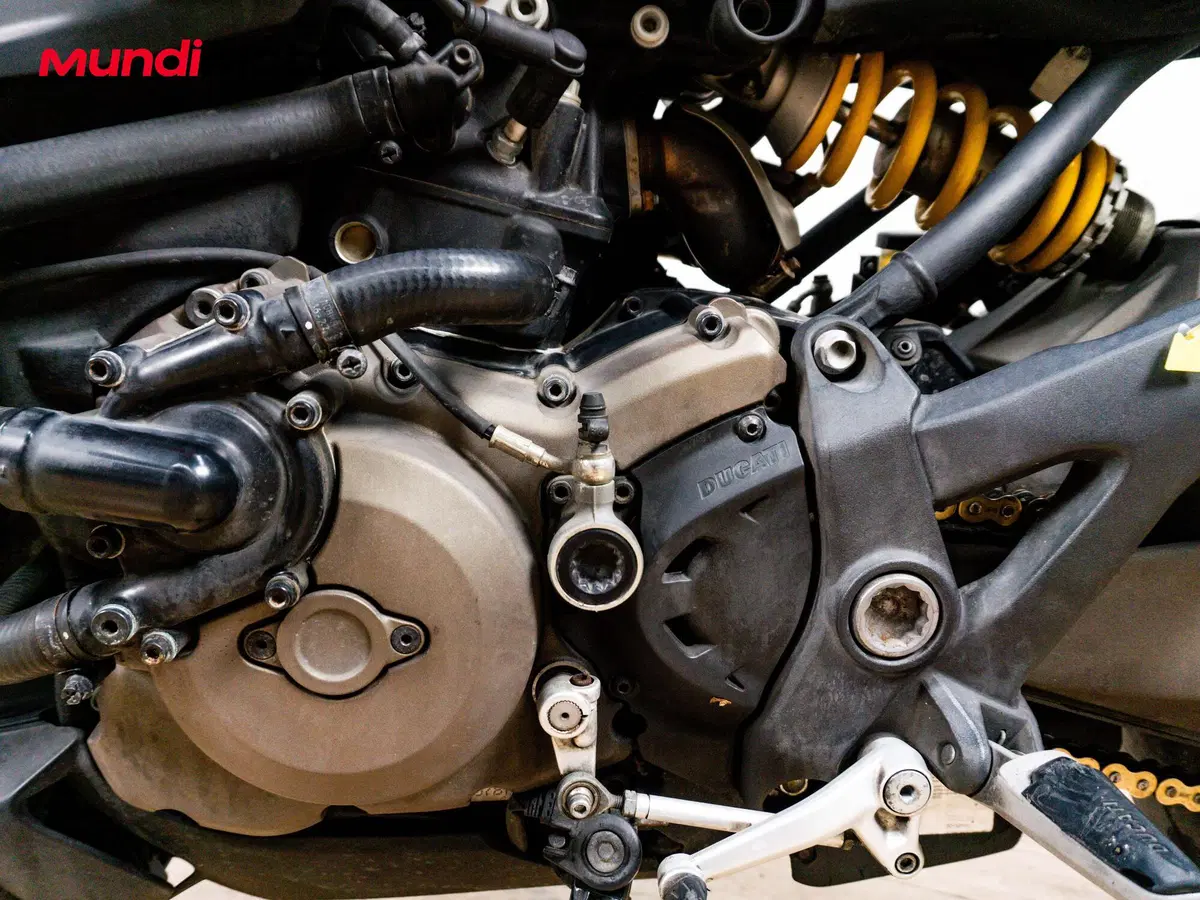 Ducati Monster 1200 (2014 - 16) (15)