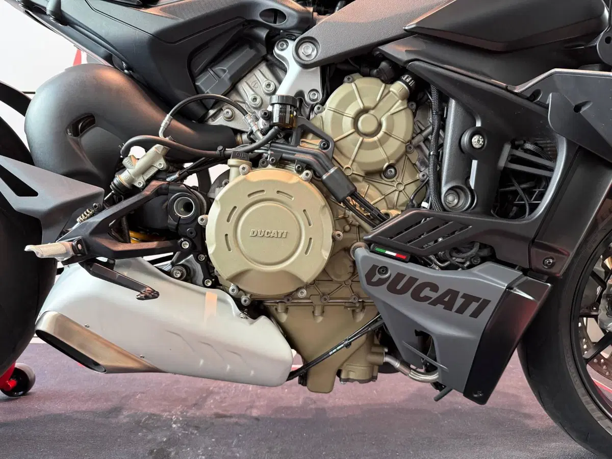 Ducati Streetfighter V4 S (2023 - 24) (4)