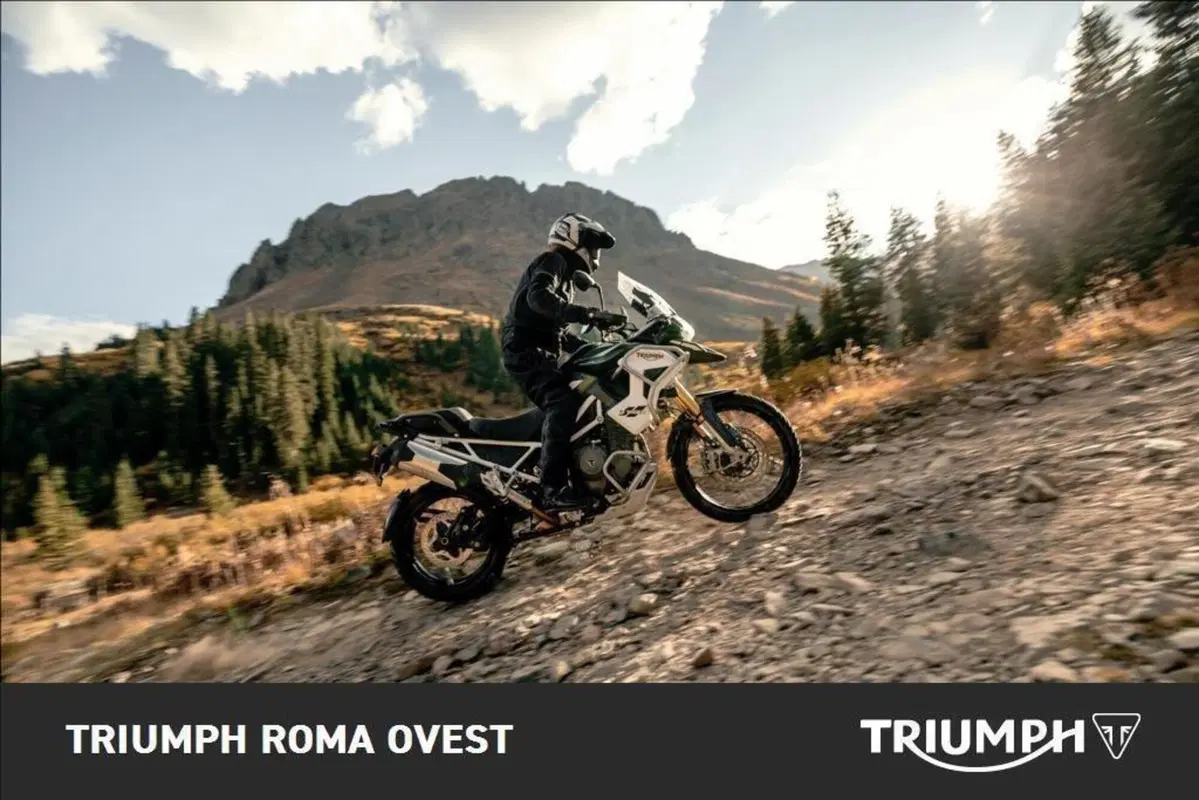 Triumph Tiger 1200 Rally Pro (2024 - 26) (4)
