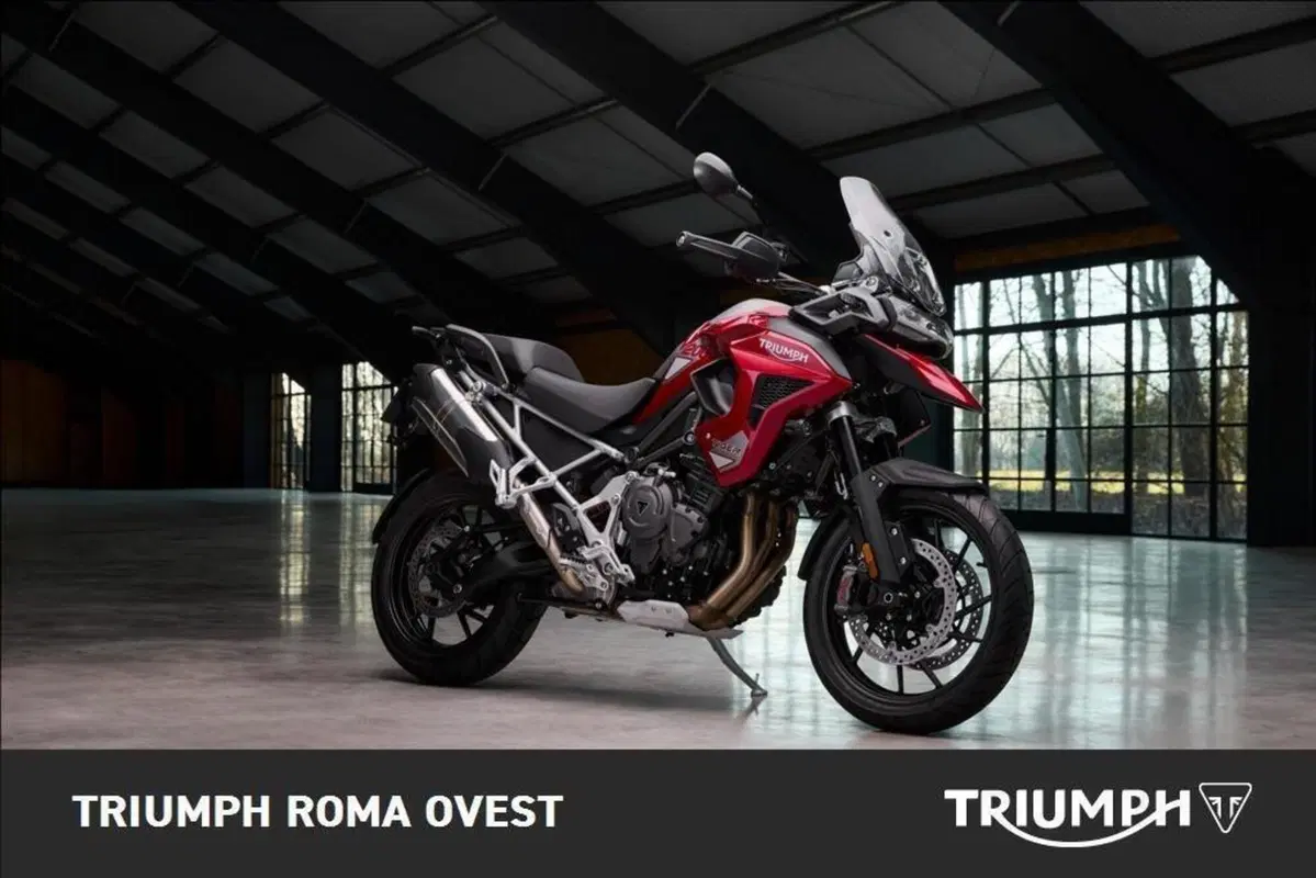 Triumph Tiger 1200 GT Pro (2024 - 26) (4)