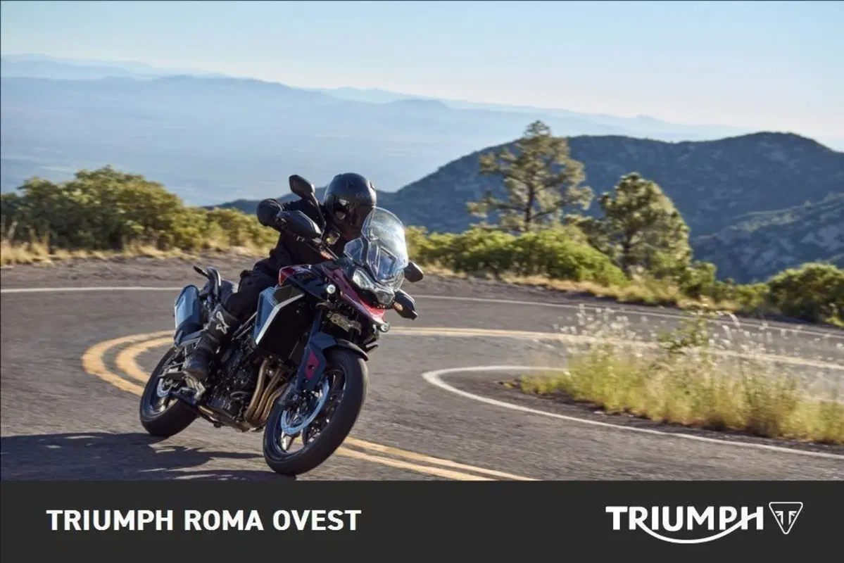 Triumph Tiger 900 GT Pro (2024 - 26) (4)
