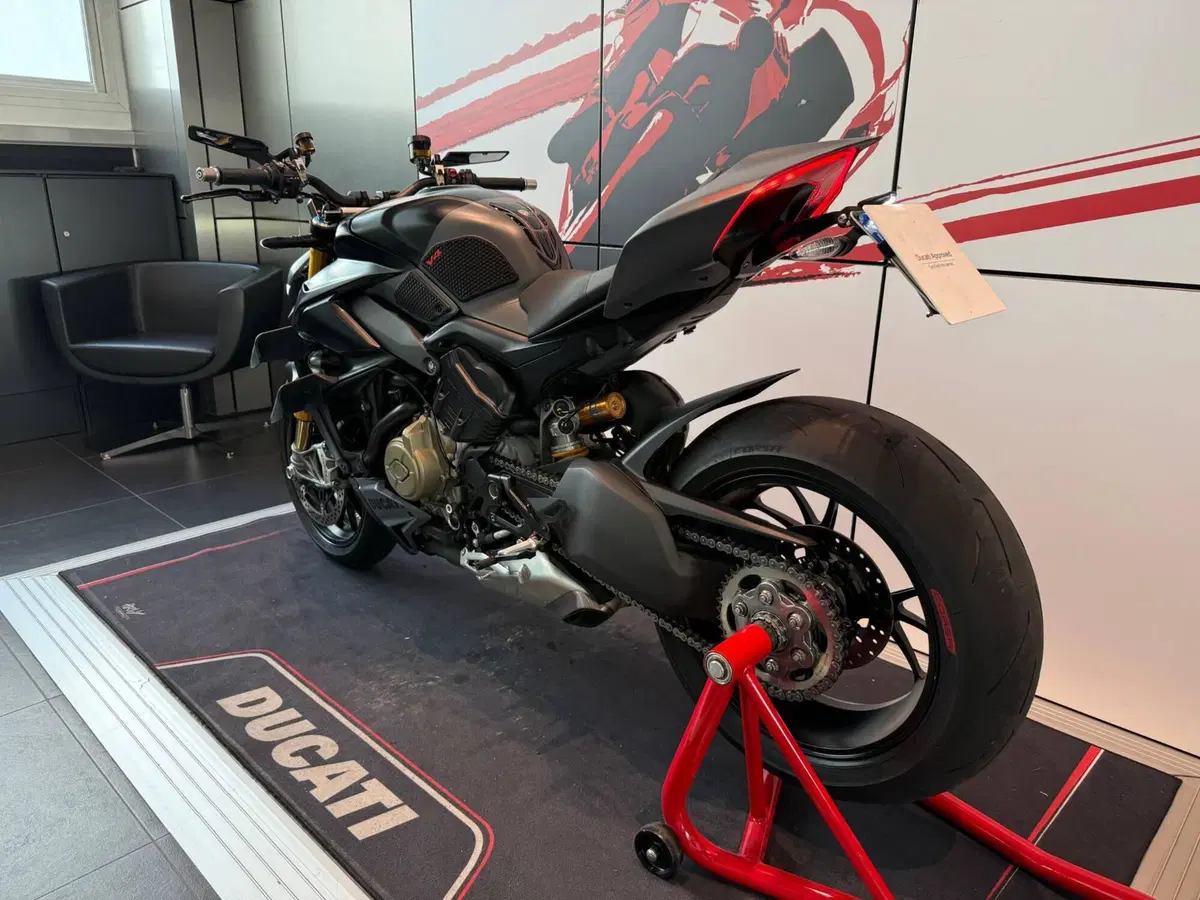 Ducati Streetfighter V4 S (2023 - 24) (8)