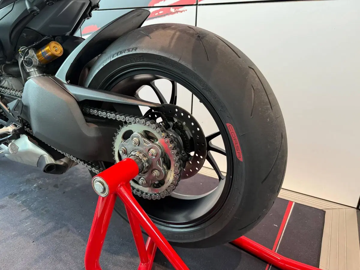 Ducati Streetfighter V4 S (2023 - 24) (9)