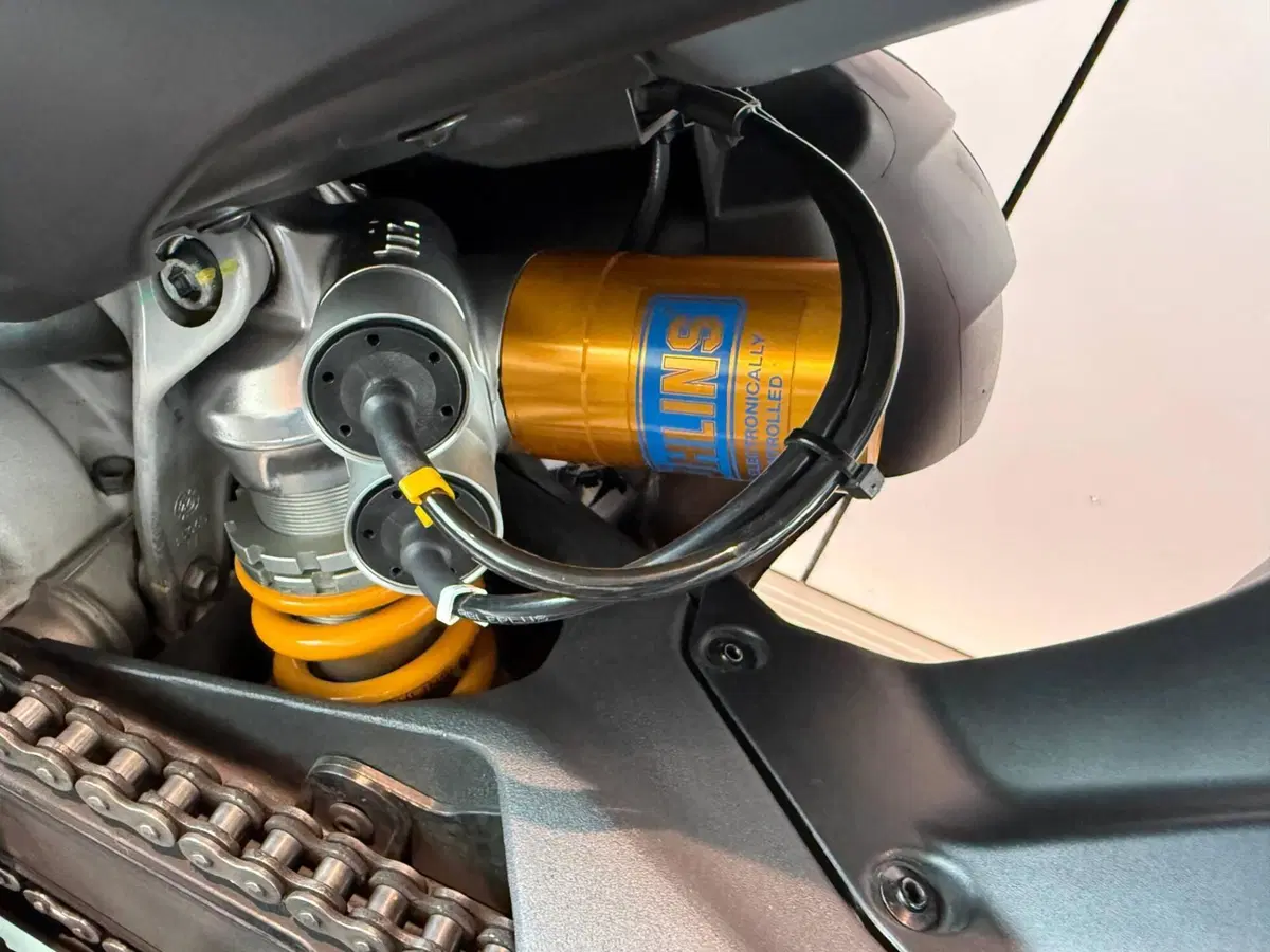 Ducati Streetfighter V4 S (2023 - 24) (10)
