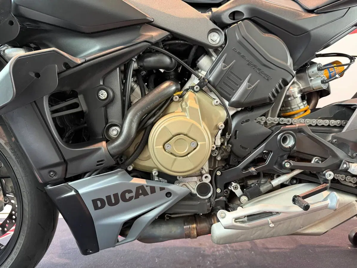 Ducati Streetfighter V4 S (2023 - 24) (11)
