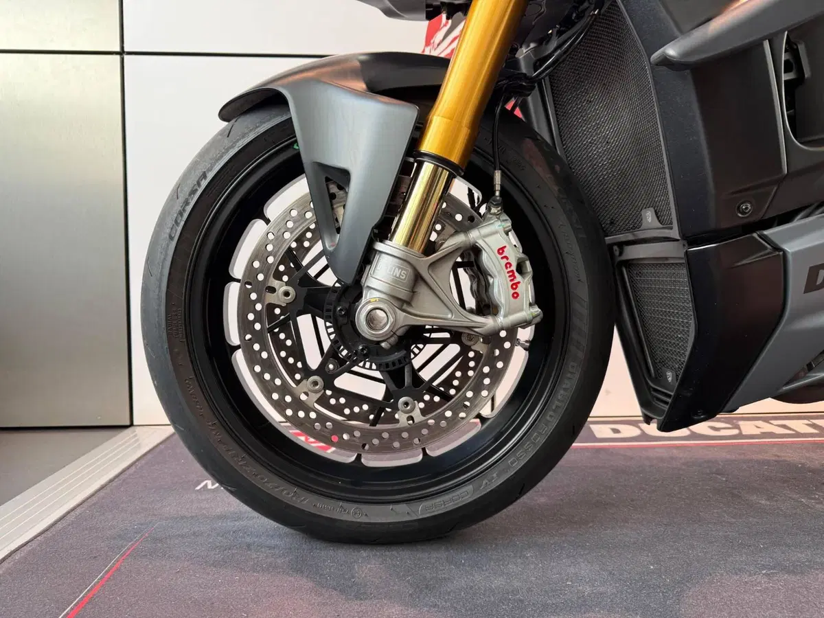 Ducati Streetfighter V4 S (2023 - 24) (12)