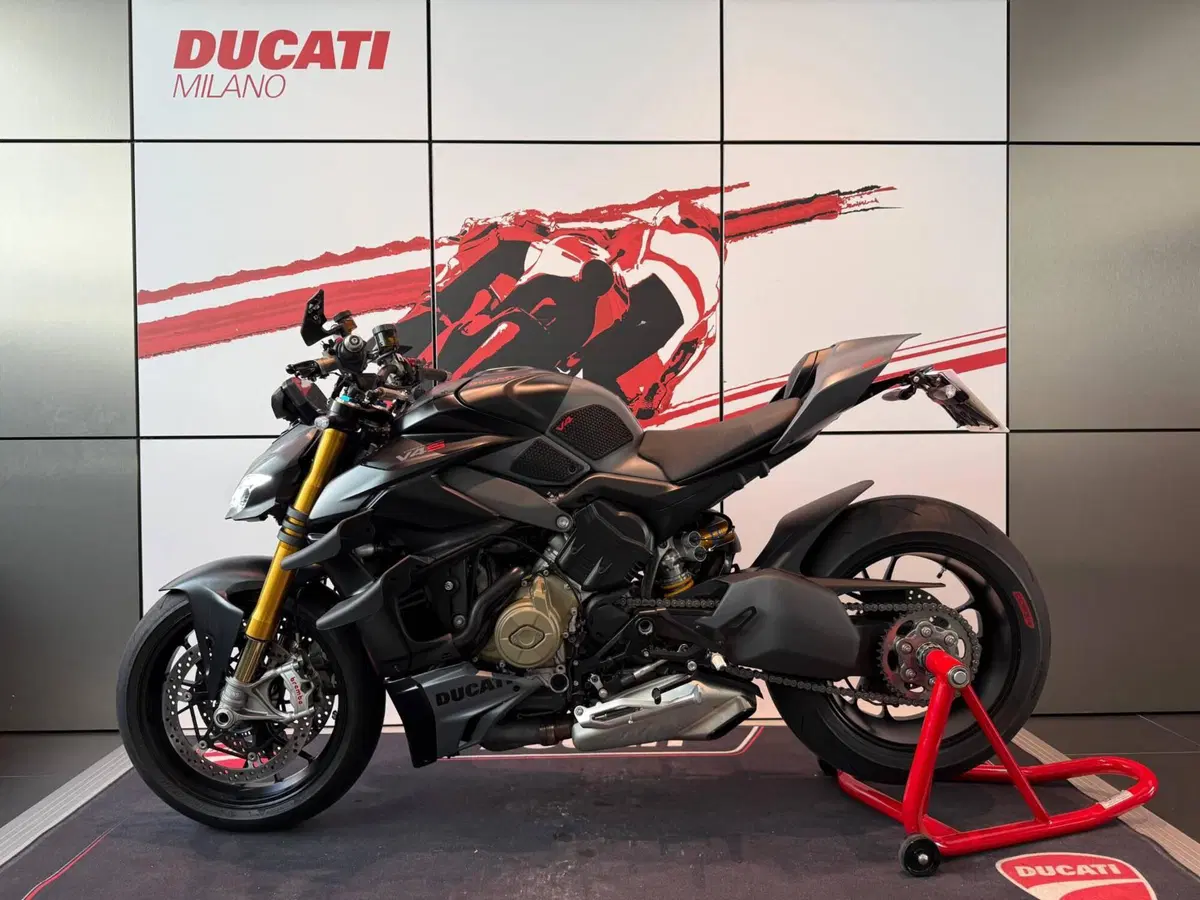 Ducati Streetfighter V4 S (2023 - 24) (13)