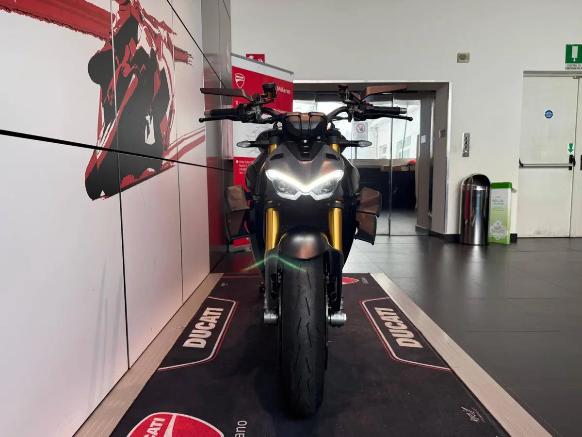 Ducati Streetfighter V4 S (2023 - 24) (15)