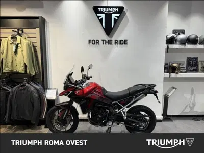 Triumph Tiger 900 GT Pro (2024 - 26) usata