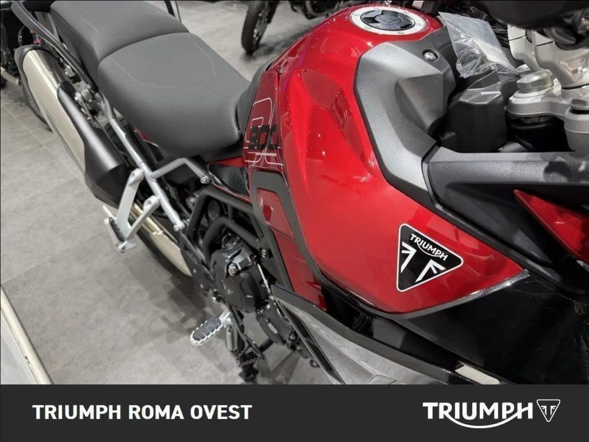 Triumph Tiger 900 GT Pro (2024 - 26) (10)