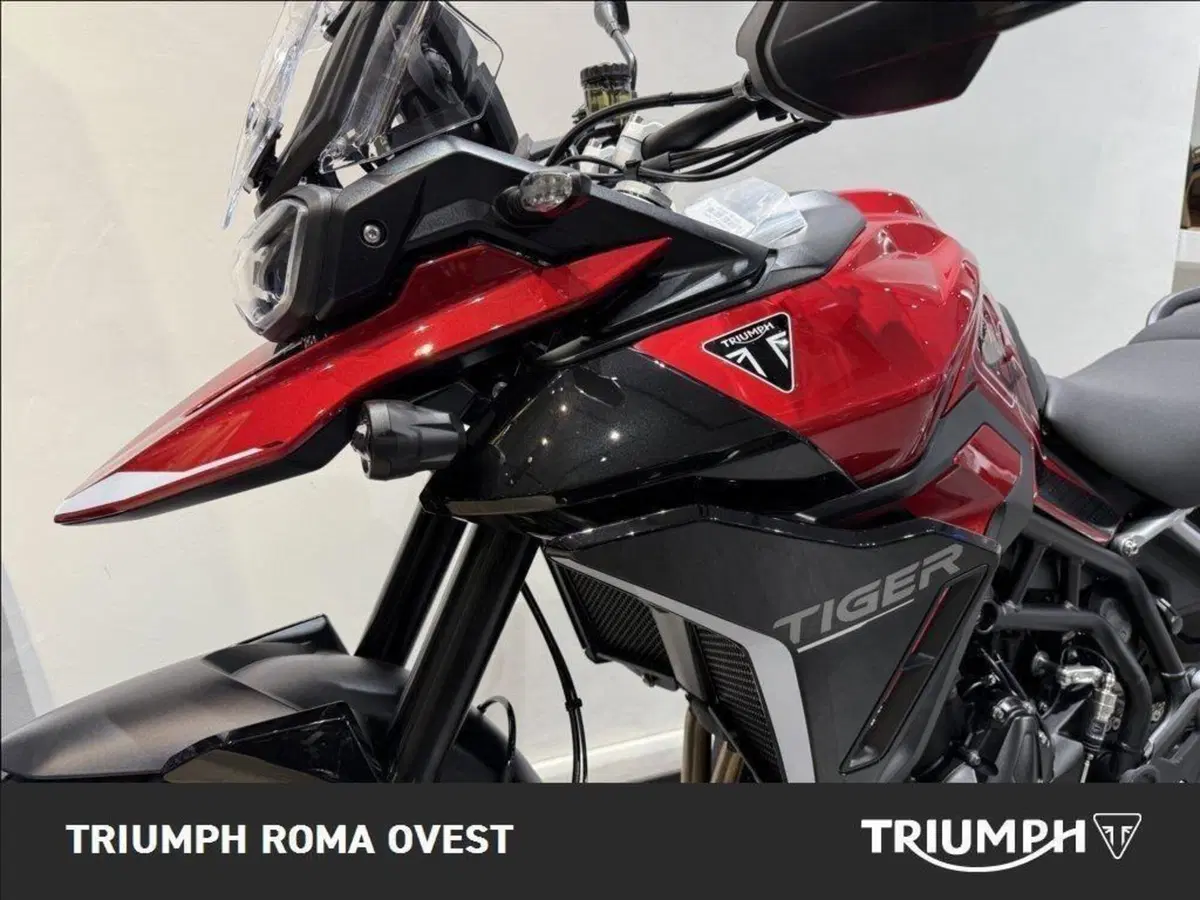 Triumph Tiger 900 GT Pro (2024 - 26) (5)
