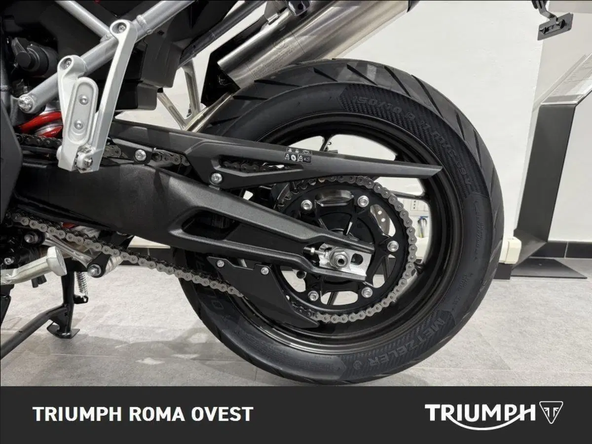 Triumph Tiger 900 GT Pro (2024 - 26) (8)