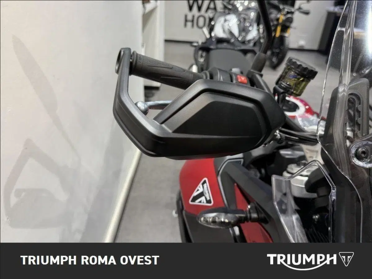 Triumph Tiger 900 GT Pro (2024 - 26) (11)