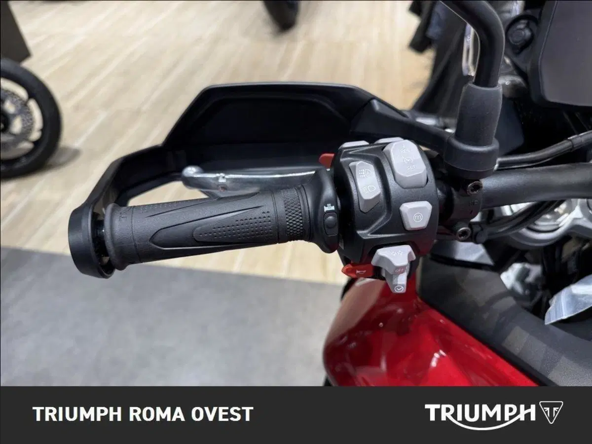 Triumph Tiger 900 GT Pro (2024 - 26) (13)