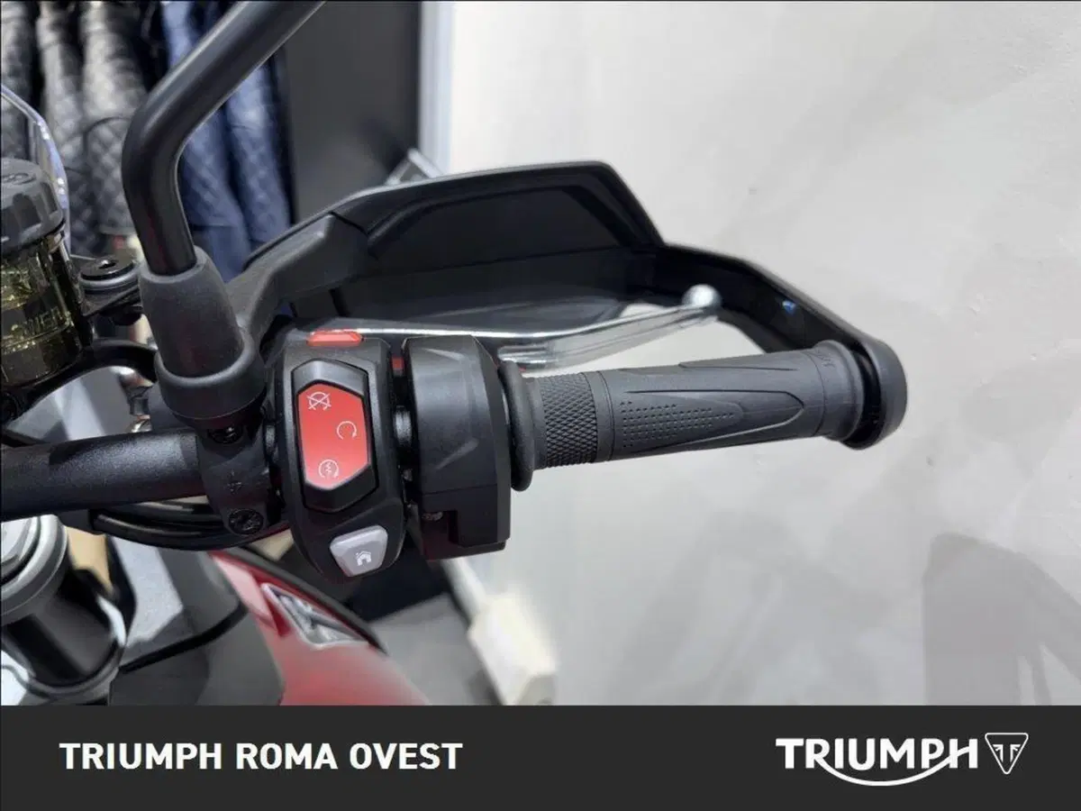 Triumph Tiger 900 GT Pro (2024 - 26) (14)