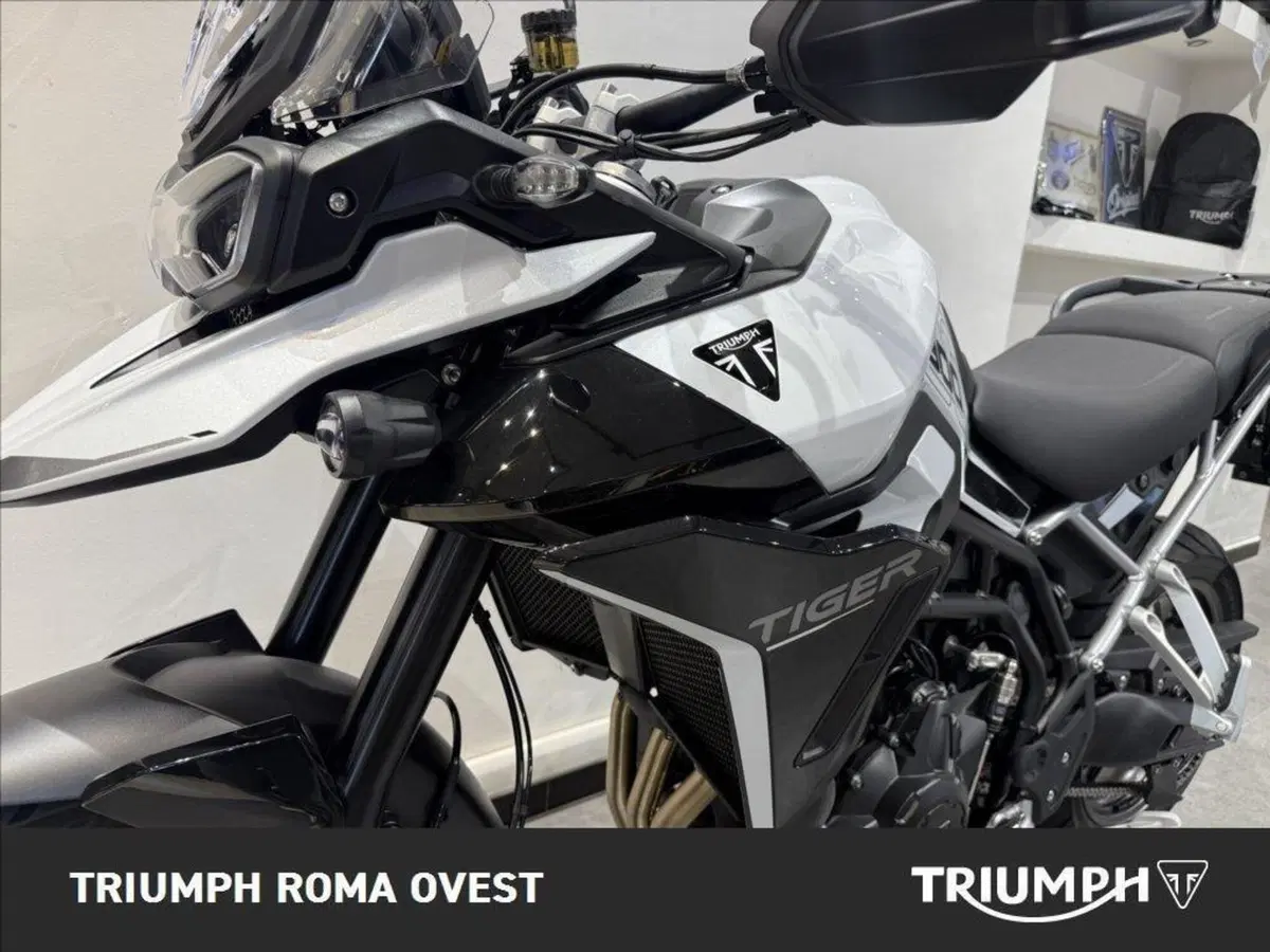 Triumph Tiger 900 GT Pro (2024 - 26) (13)