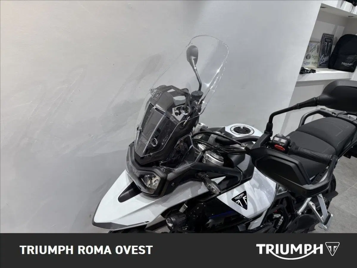 Triumph Tiger 900 GT Pro (2024 - 26) (12)