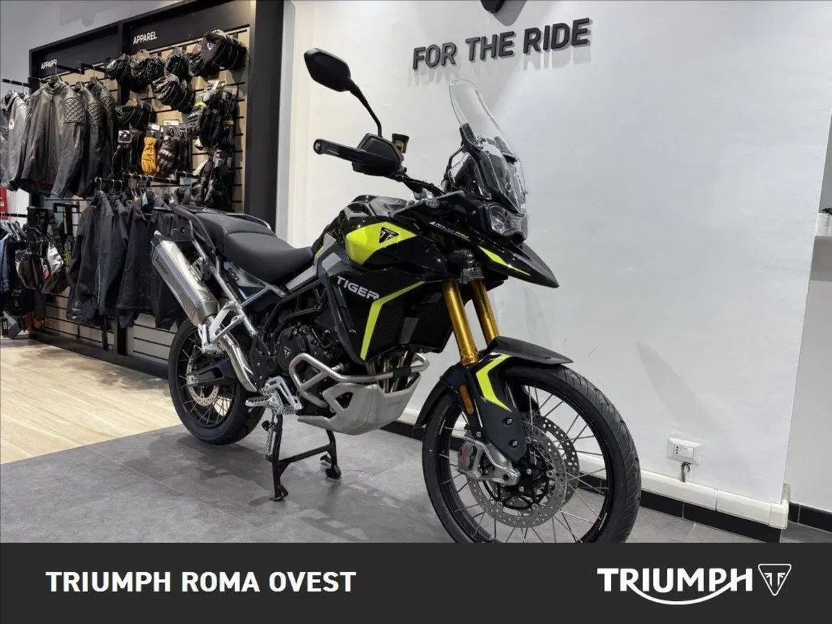 Triumph Tiger 900 Rally Pro (2024 - 26) (4)