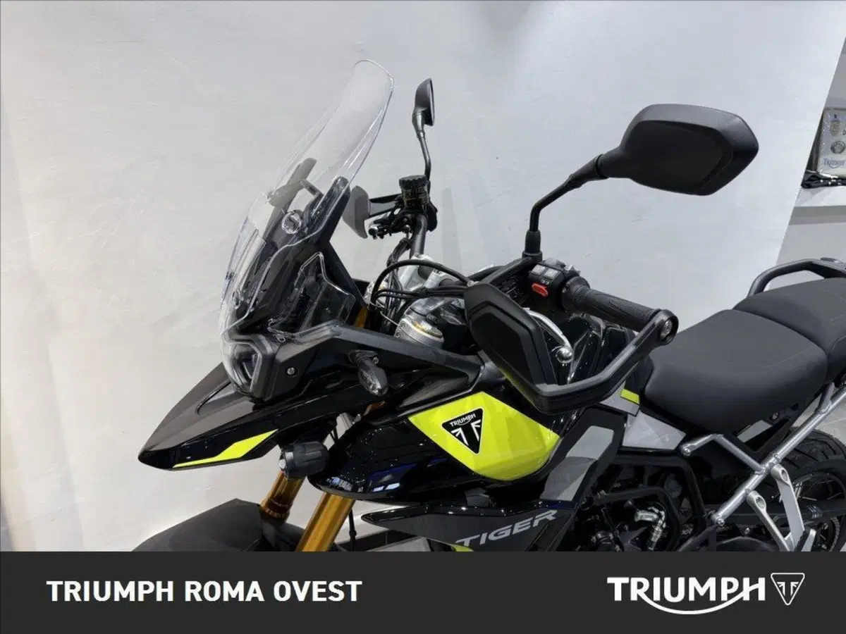 Triumph Tiger 900 Rally Pro (2024 - 26) (14)